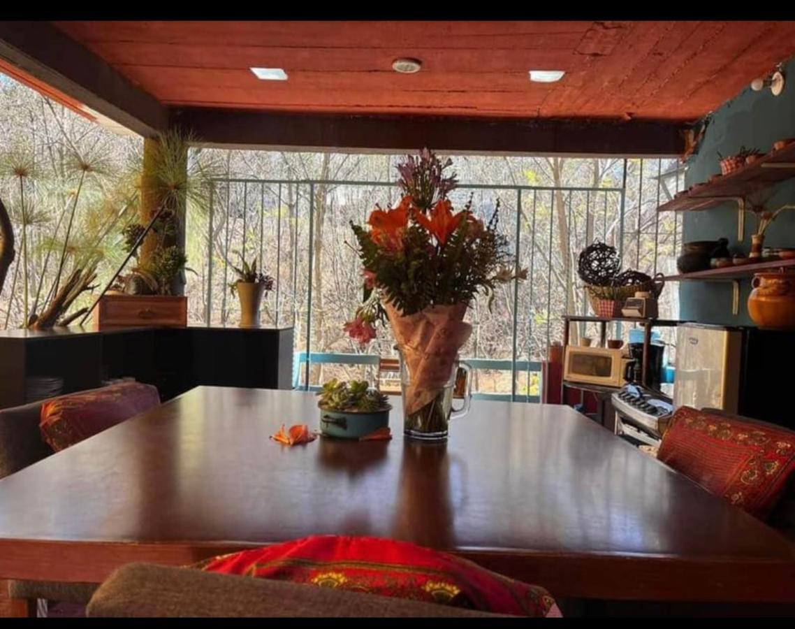 Готель Casa Grey Oaxaca Екстер'єр фото